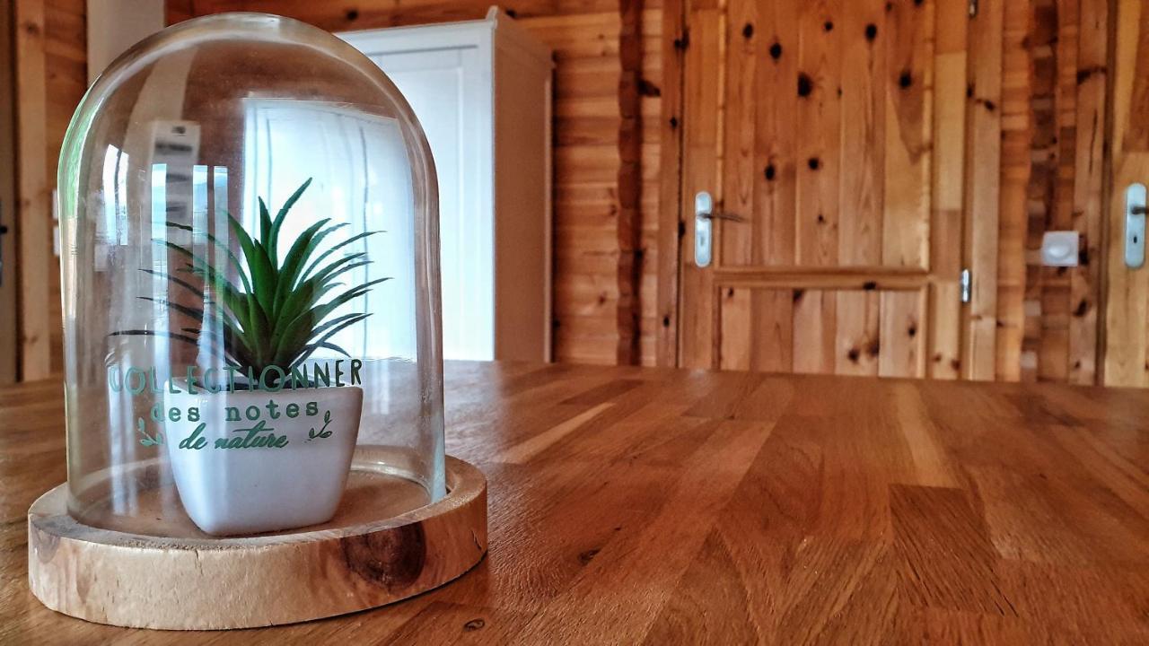Le Chalet jacuzzi et Détente 4 Étoiles Bagnères-de-Bigorre Esterno foto